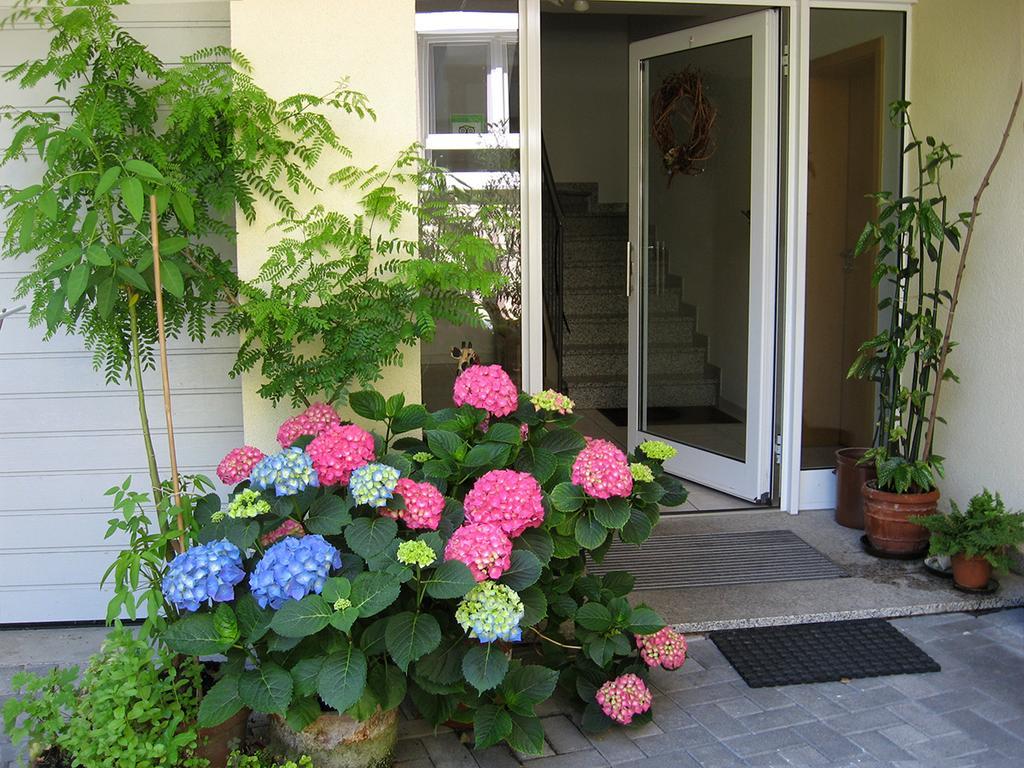 Die Sprachpension - The Language Guesthouse Vogtsburg Eksteriør bilde