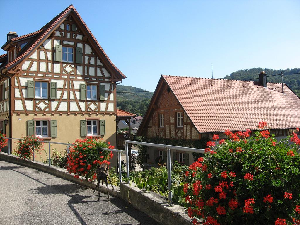 Die Sprachpension - The Language Guesthouse Vogtsburg Eksteriør bilde