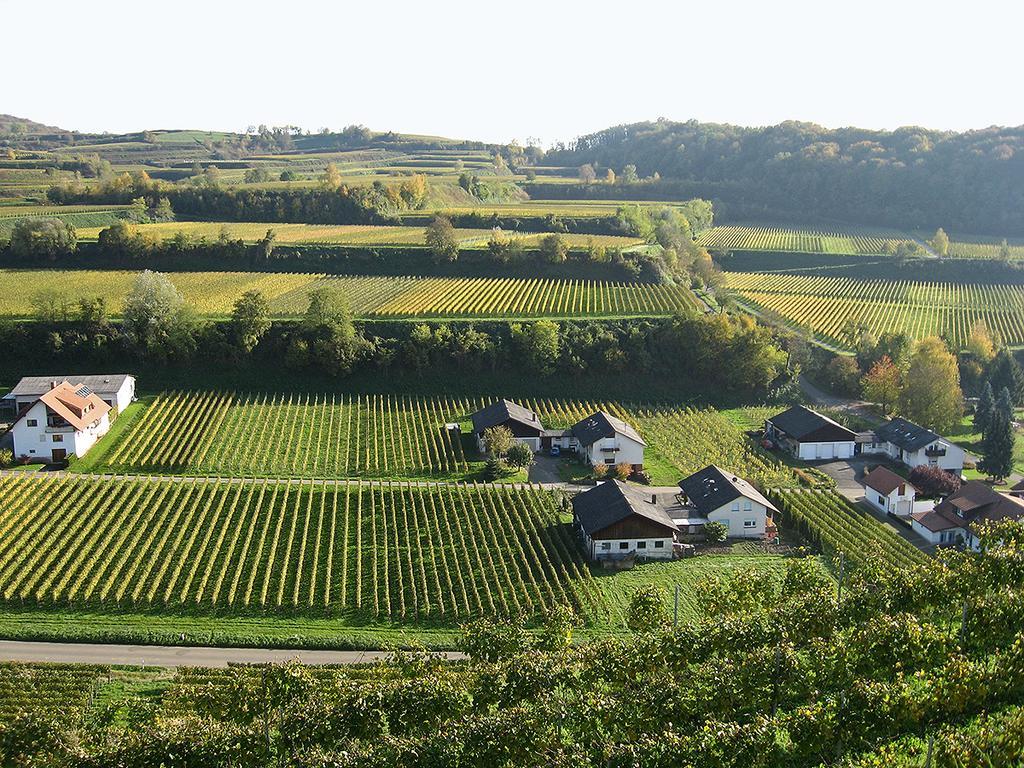 Die Sprachpension - The Language Guesthouse Vogtsburg Eksteriør bilde